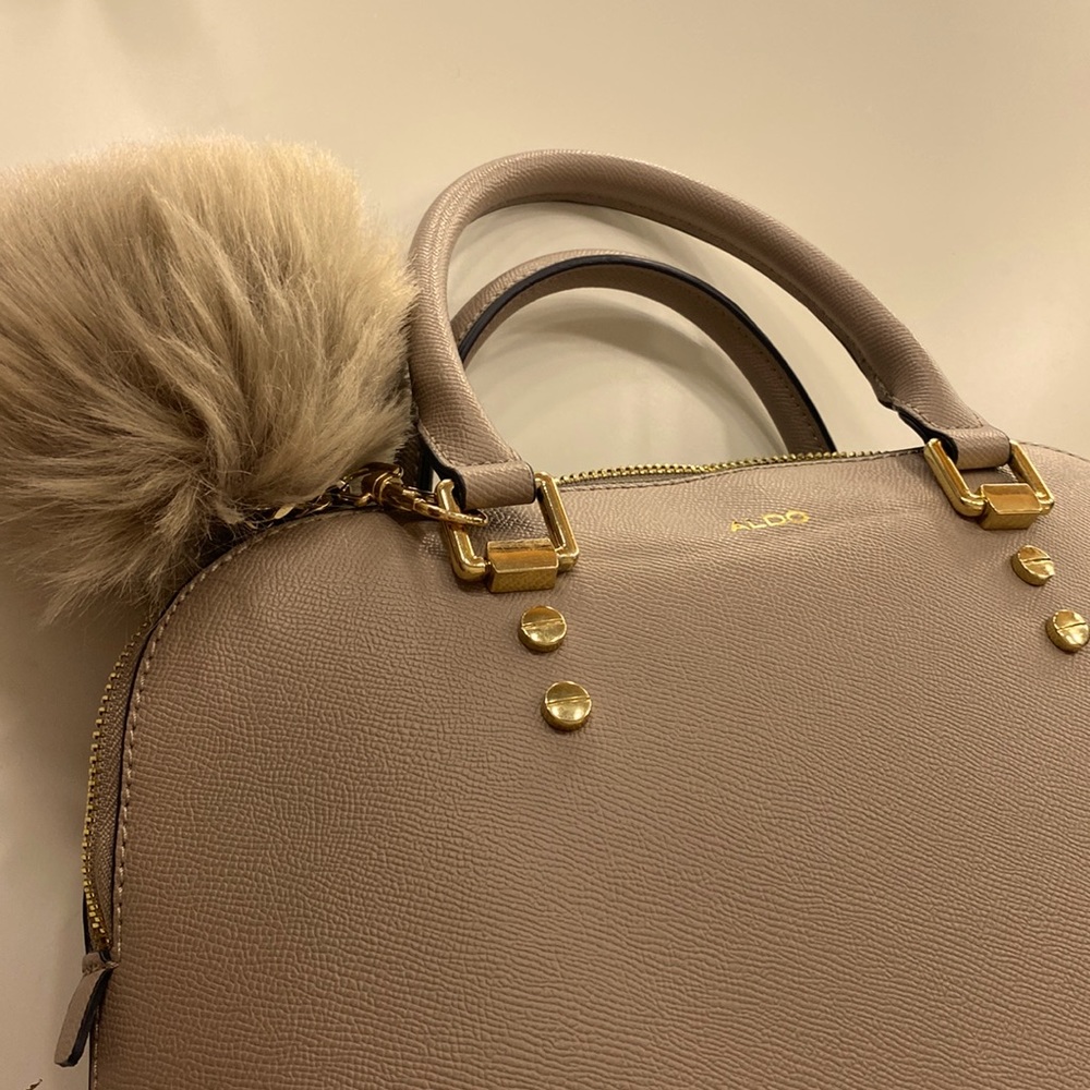Aldo Purse
